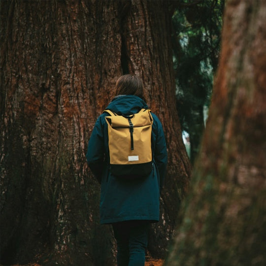 Recycled Bottle Backpack | Annecy